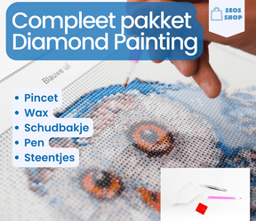 Diamond Painting Wax 10 pièces - SEOS Shop®