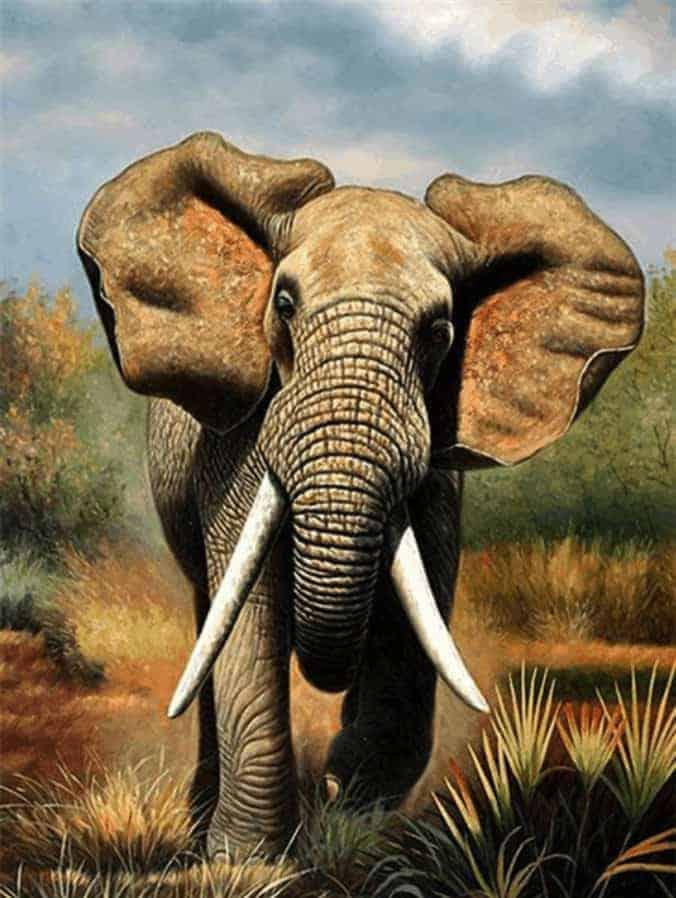 Diamond Painting Éléphant qui court - SEOS Shop ®