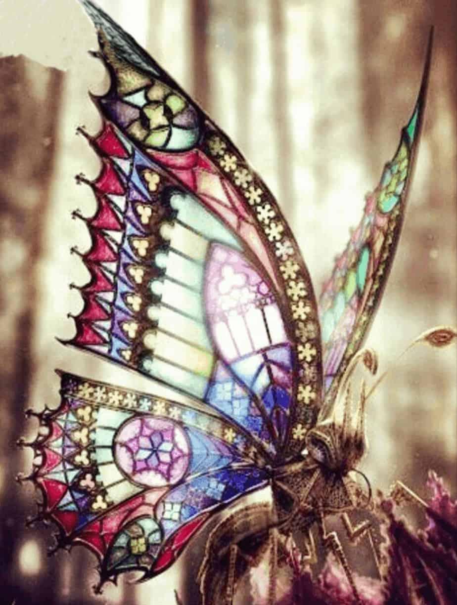 Diamond Painting Belle papillon au soleil - SEOS Shop ®