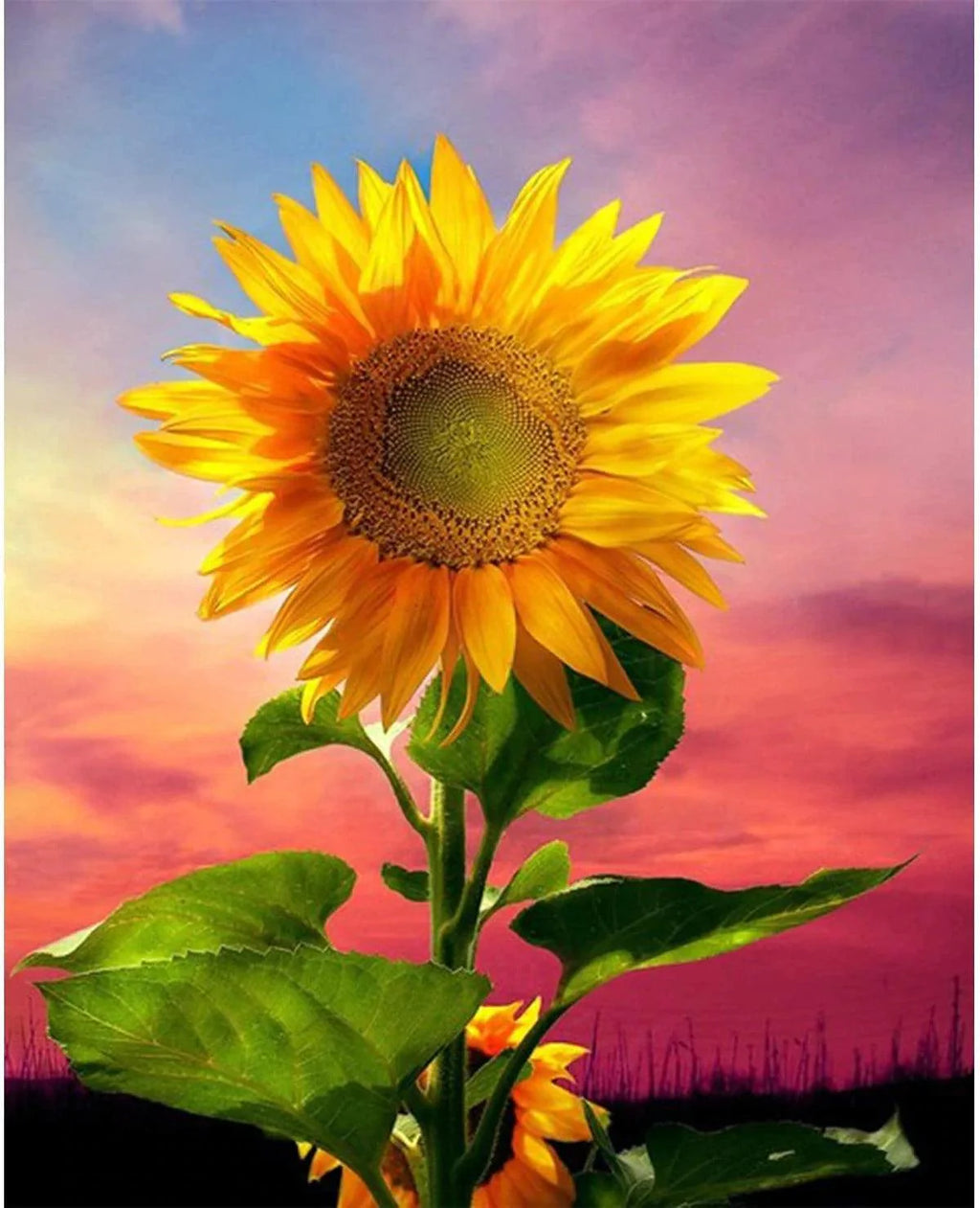 Diamond painting - Tournesol dans le champ - SEOS Shop ®