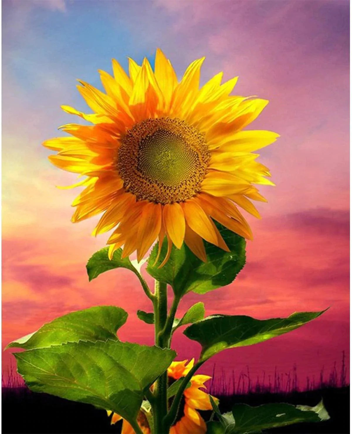 Diamond painting - Tournesol dans le champ - SEOS Shop ®
