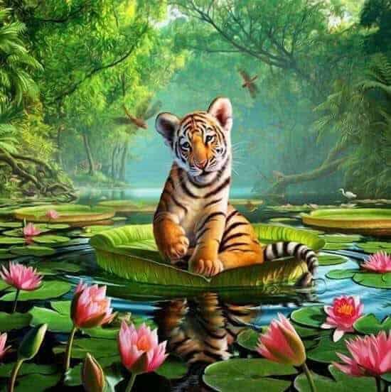 Diamond painting Tigre sur un nénuphar - Complet - SEOS Shop®